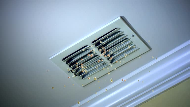 Best Ductwork Cleaning Services  in Ruleville, MS