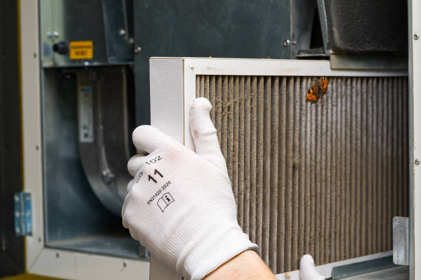 Air Duct Mold Removal in MS