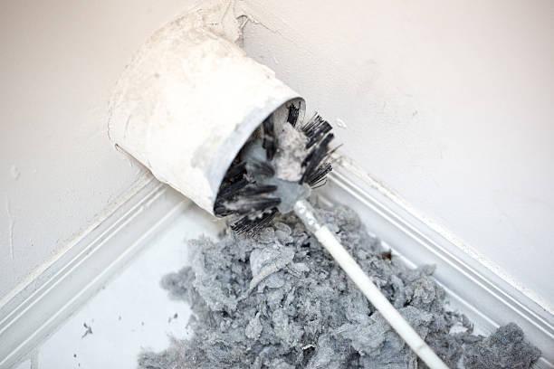 Best Air Duct Sanitizing Services  in Ruleville, MS